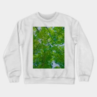 Smoky Mountains Tree Canopy Crewneck Sweatshirt